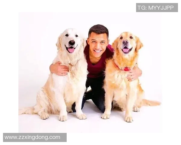 新疆足球魅力绽放外国明星球员助力本土足球发展新篇章